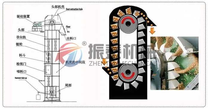 粉煤灰斗式提升機(jī)原理結(jié)構(gòu)